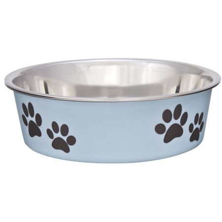 Stainless Steel & Light Blue Dish with Rubber Base